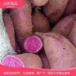 山东济南菏泽红丹地瓜种植 商薯19地瓜苗批发 西瓜红价格