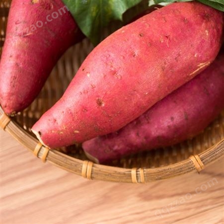 大叶红新鲜红薯地瓜 新鲜香甜红薯地瓜 支持选购