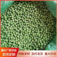 新速冻毛豆粒速冻青豆厂家批发 绿色天然材料 定制生产